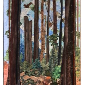 sequoia trail